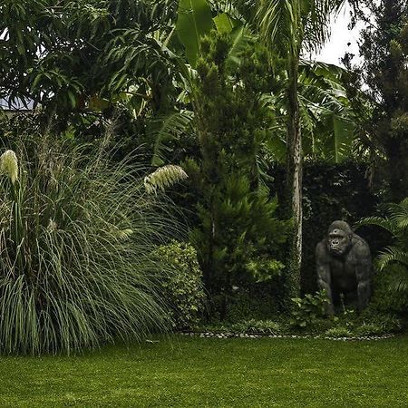 Casa Domingo Hotel Petit Miacatlán Eksteriør bilde